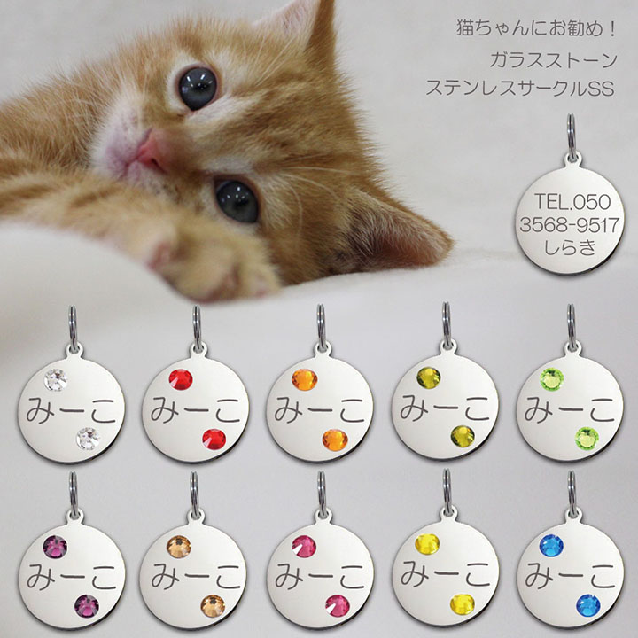 迷子札 ガラスストーン 10色展開 ネコ 猫ちゃん用 極小 ネーム プレート ステンレス サークルＳＳ